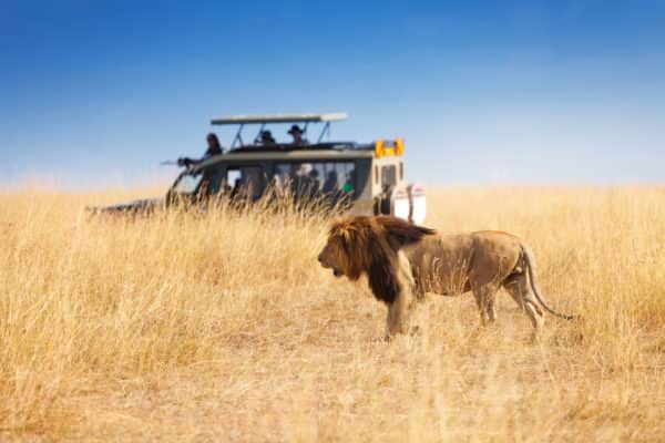 Afrikareisen TravelLife