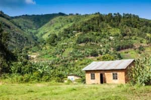 Landschaft Bwindi