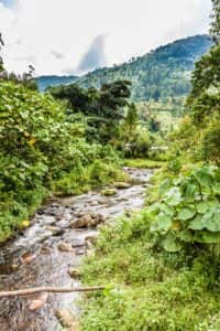 Landschaft um Bwindi Uganda