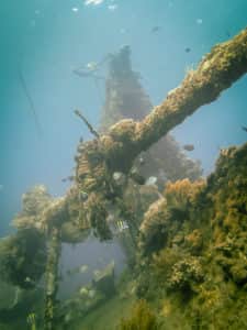Wrack in Bali
