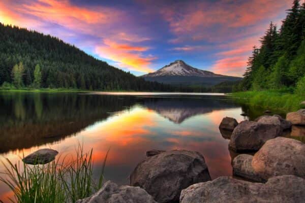 Nordamerikareisen: Mount Hood und Trillium Lake
