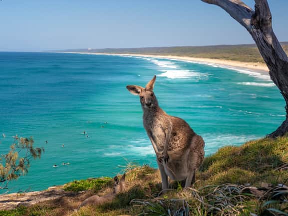 Australien - Känguru Beach Queensland - Tourism Australia