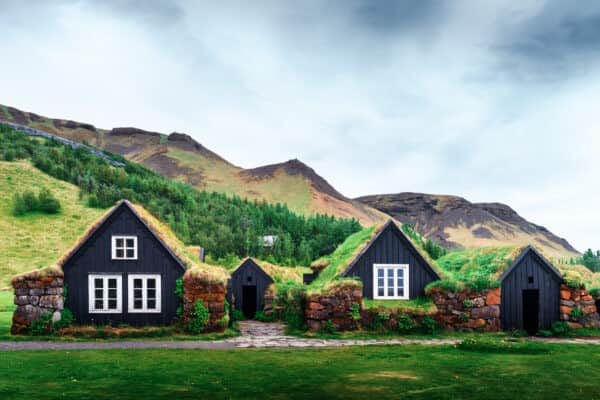 Traditional houses with grass on roof