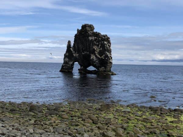 Hvitserkur-Halbinsel Vatnsnes Island