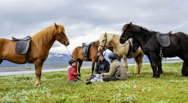 Familienreise Island Im Land von Elfen und Trollen