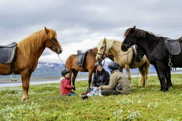 Familienreise Island Im Land von Elfen und Trollen