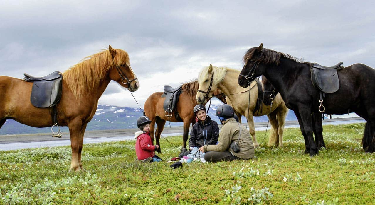 Familienreise Island Im Land von Elfen und Trollen