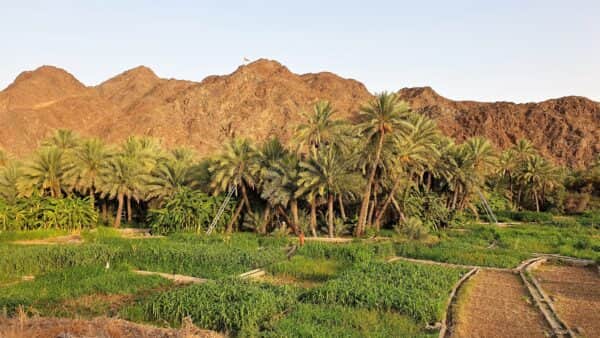 Oman Rundreise Wadi