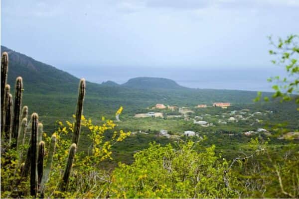 Karibik ABC-Inseln Curacao Christoffelpark