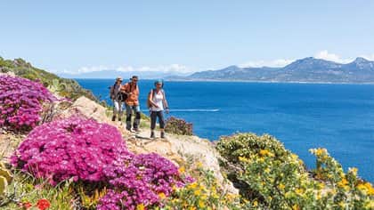 Küstenwanderung am Golf von Calvi
