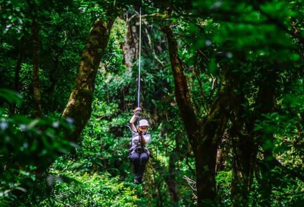 Costa Rica Cloud Forest Lodge Canopy Monteverde