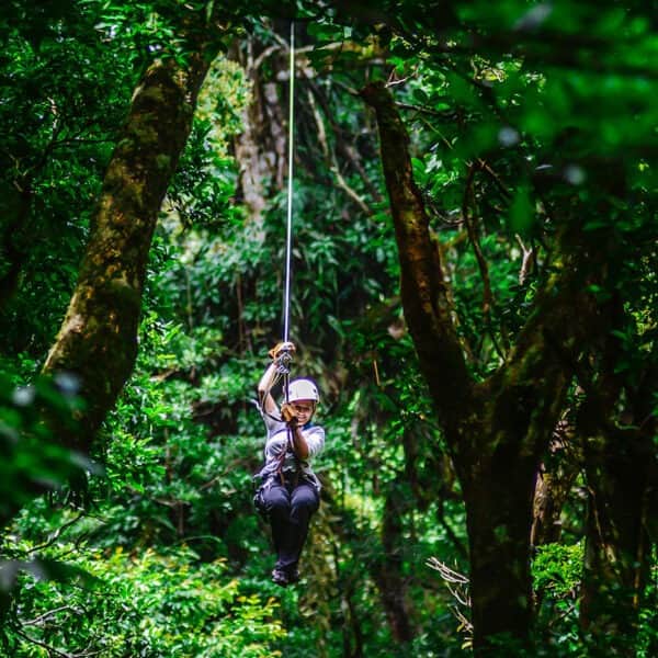 Costa Rica Cloud Forest Lodge Canopy Monteverde